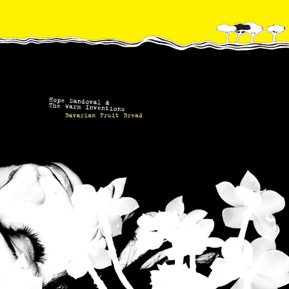 Capa de 